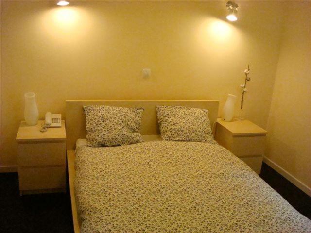 Hostal Goyal Pizarro Madrid Dış mekan fotoğraf